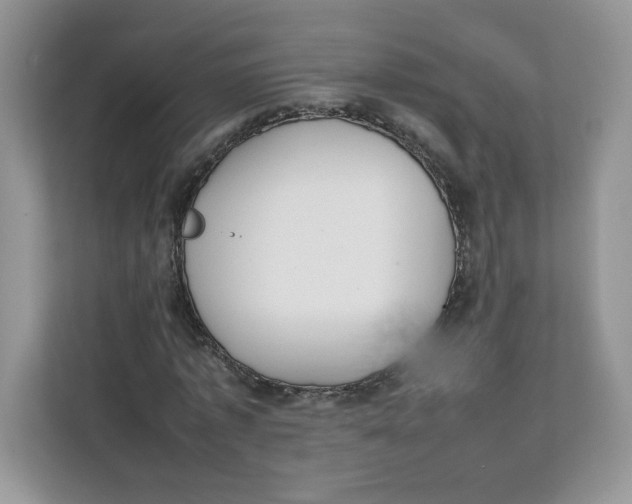 X0000111630773200908071410