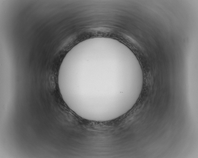 X0000111630774200908071410