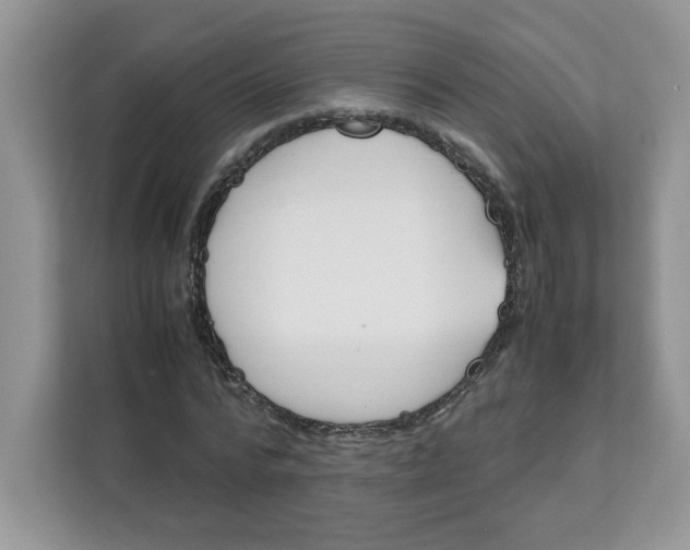 X0000111630776200908071410