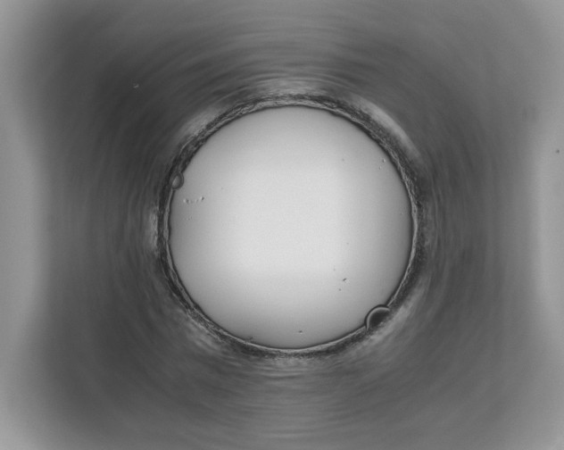 X0000111630777200908071410