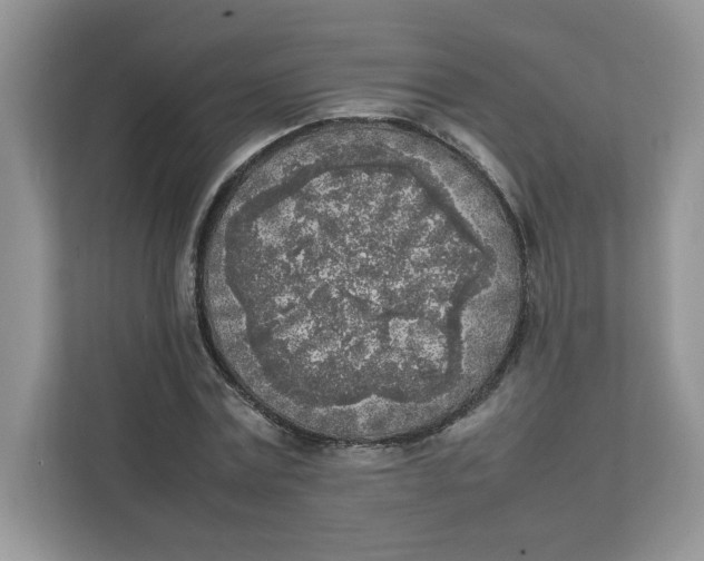 X0000111630779200908071410