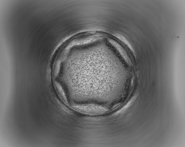 X0000111630781200908071410