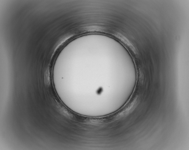 X0000111630782200908071410