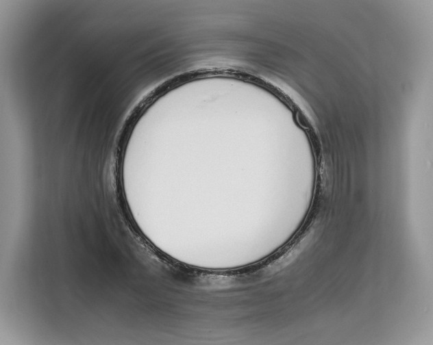 X0000111630783200908071410