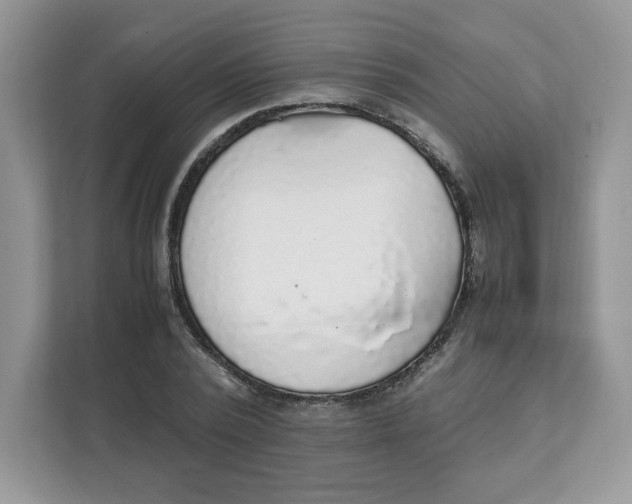 X0000111630784200908071410