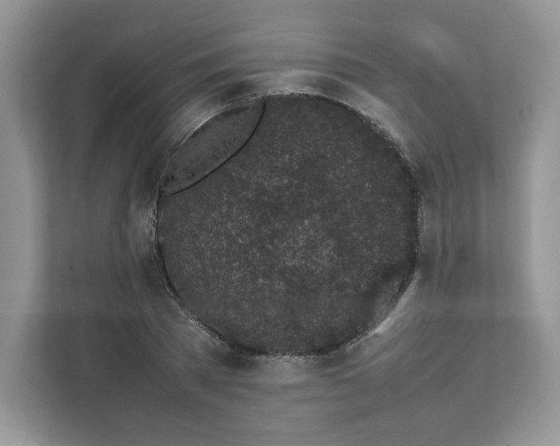 X0000111630785200908071410