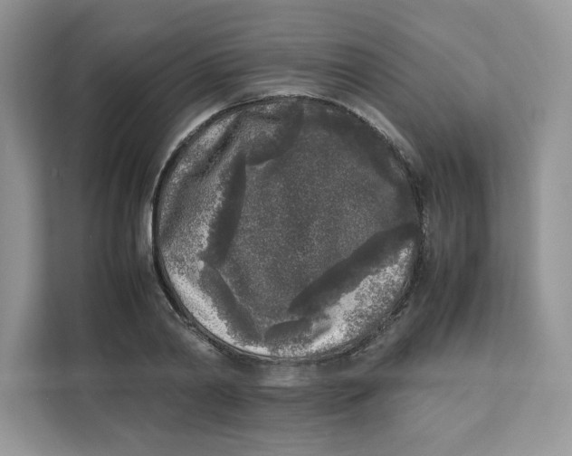 X0000111630790200908071410