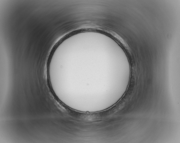 X0000111630791200908071410