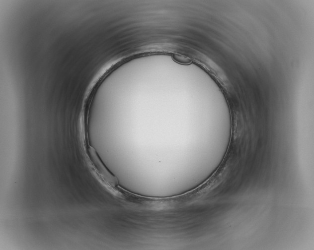 X0000111630796200908071410