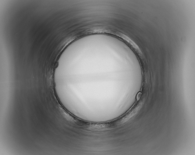 X0000111630801200908071410