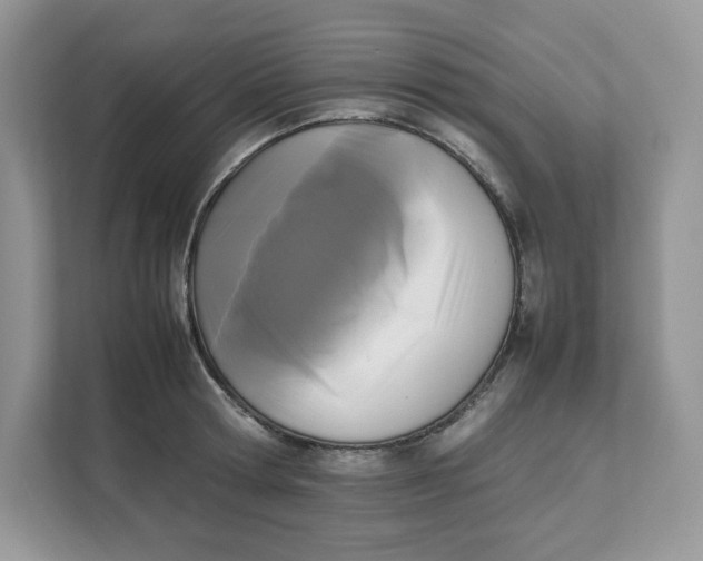 X0000111630802200908071410