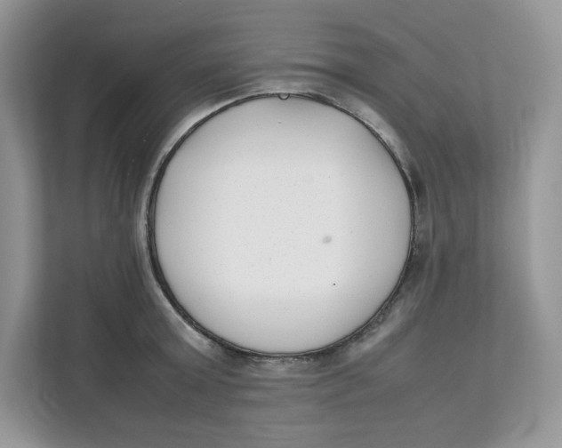 X0000111630803200908071410