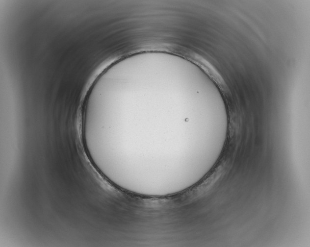 X0000111630804200908071410