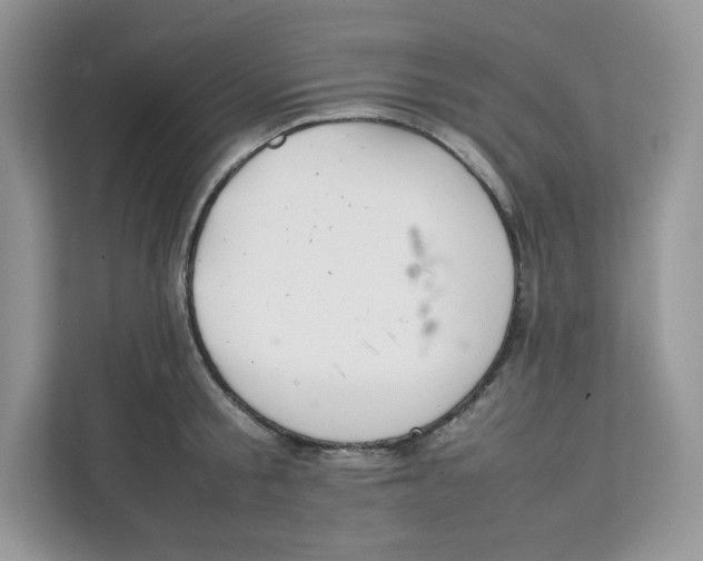 X0000111630805200908071410