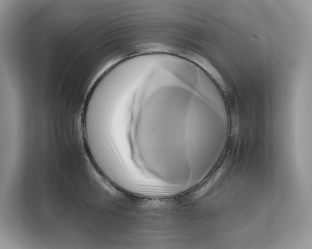 X0000111630806200908071410