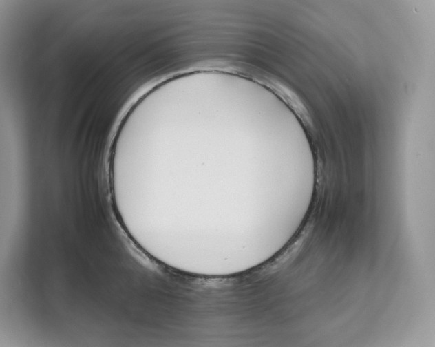 X0000111630808200908071410