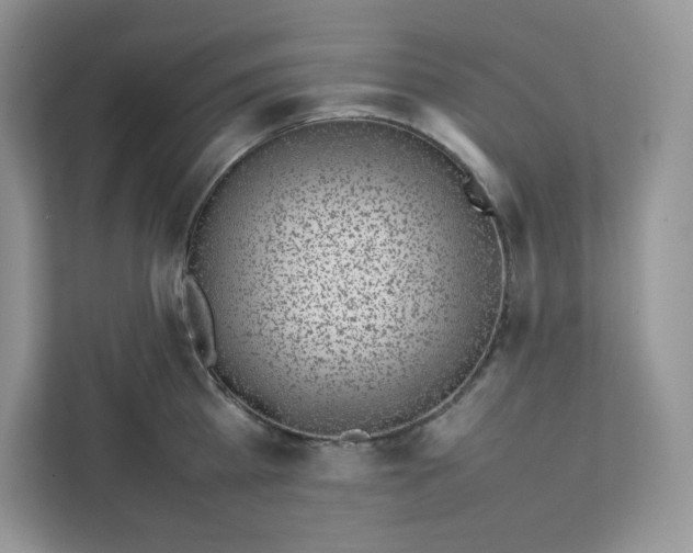 X0000111630809200908071410