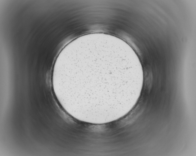 X0000111630810200908071410