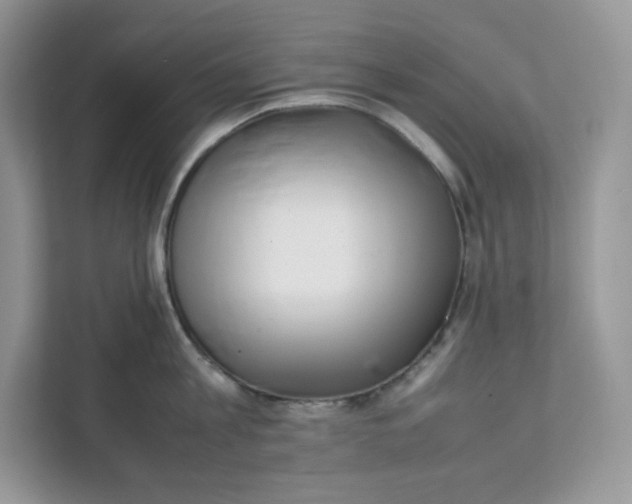 X0000111630813200908071410