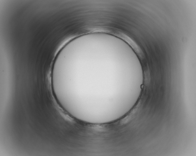 X0000111630814200908071410