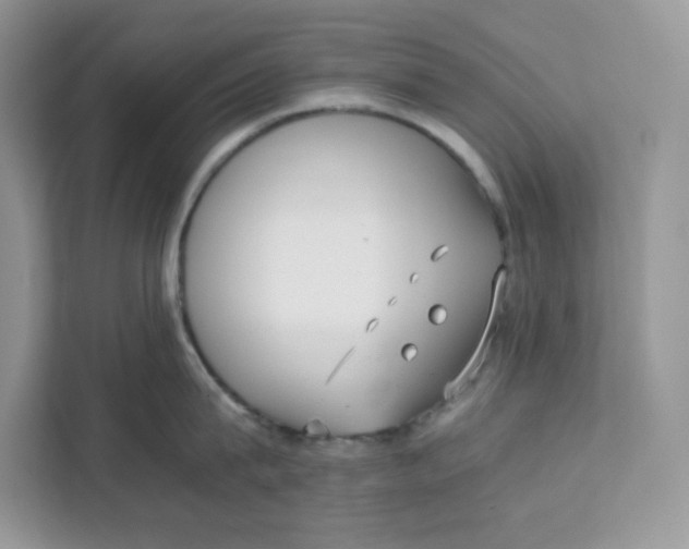 X0000111630815200908071410