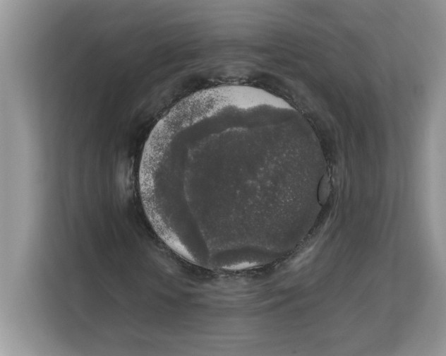 X0000111630818200908071409