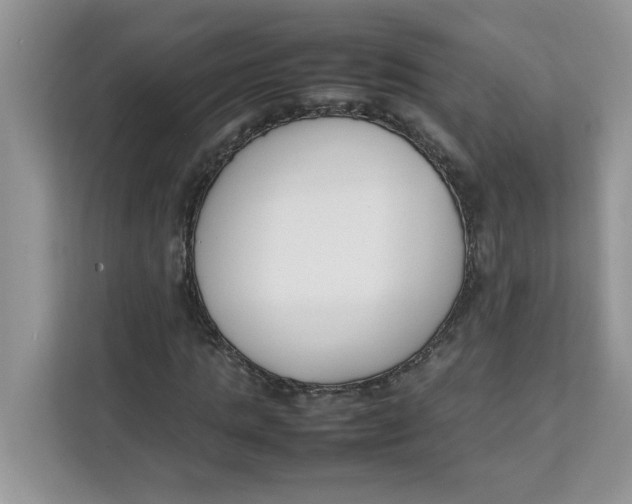 X0000111630821200908071409