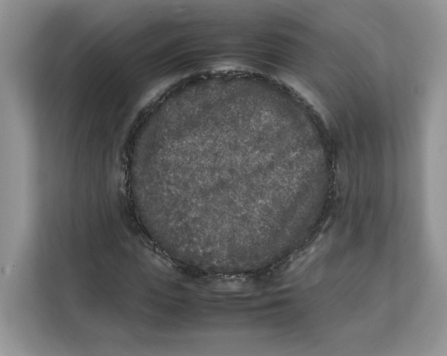 X0000111630823200908071409