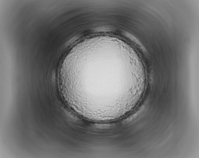 X0000111630825200908071409