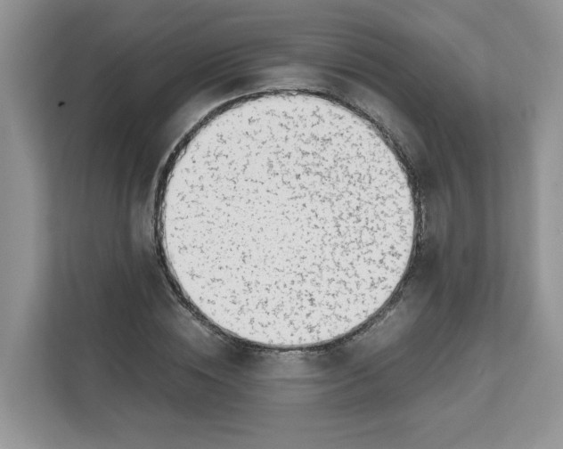 X0000111630828200908071409