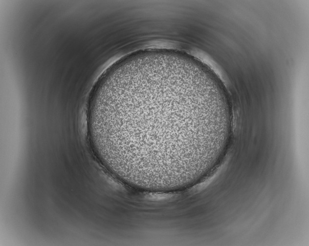 X0000111630829200908071409