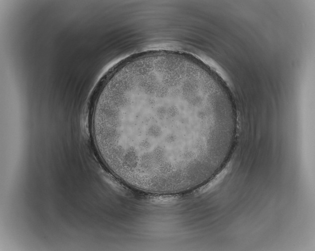 X0000111630830200908071409