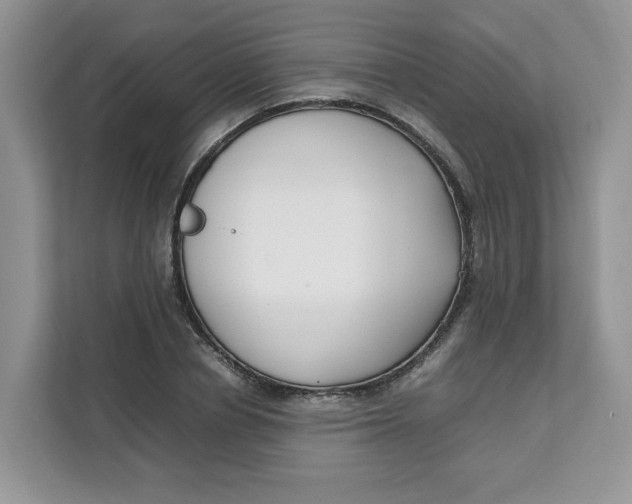 X0000111630834200908071409