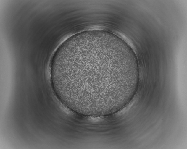 X0000111630835200908071409