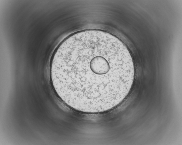 X0000111630836200908071409