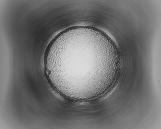 X0000111630837200908071409