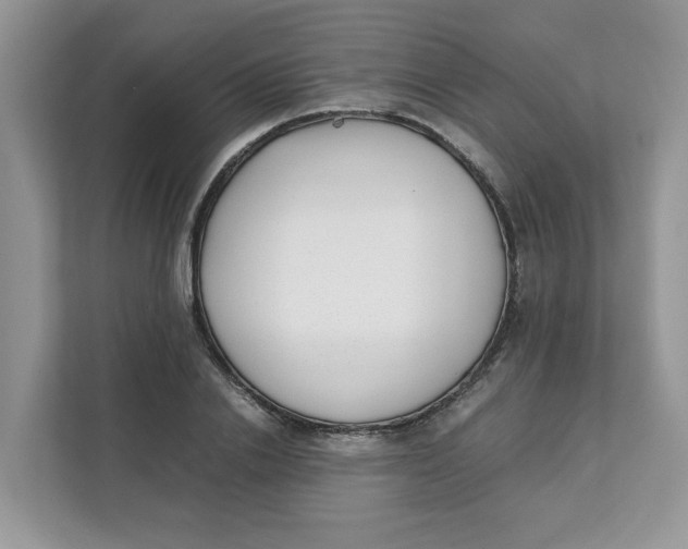 X0000111630838200908071409