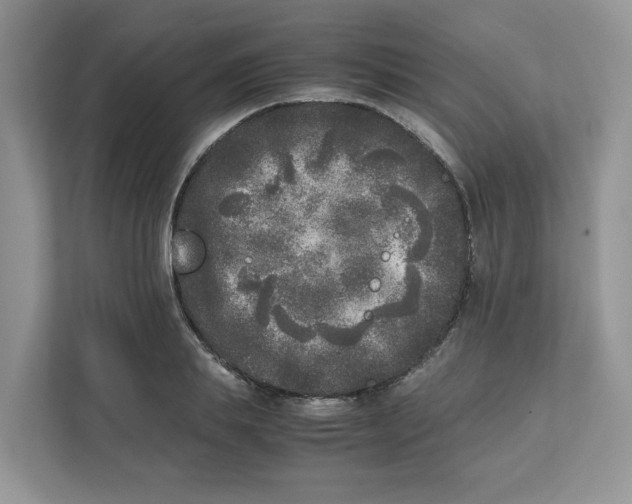 X0000111630839200908071410