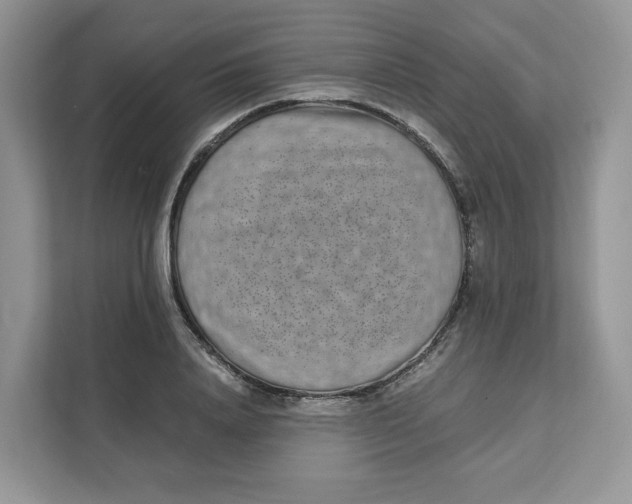 X0000111630840200908071410