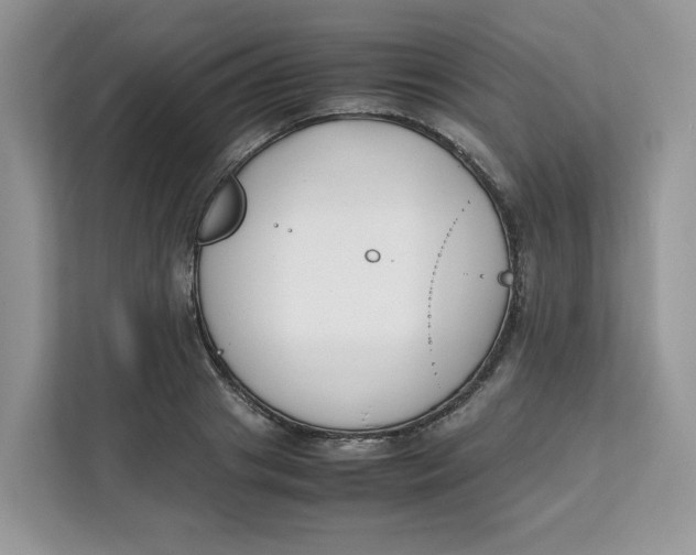 X0000111630841200908071410