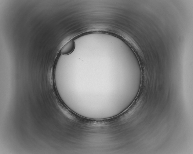 X0000111630842200908071410