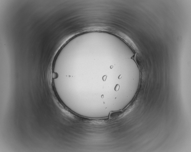 X0000111630844200908071410