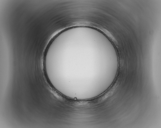 X0000111630846200908071410