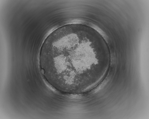 X0000111630850200908071410