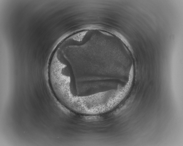 X0000111630853200908071410