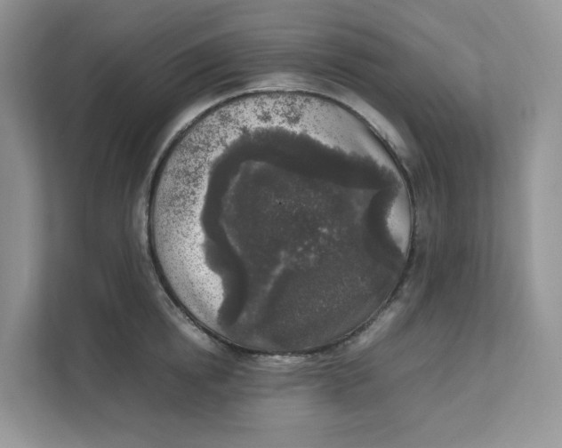 X0000111630854200908071410