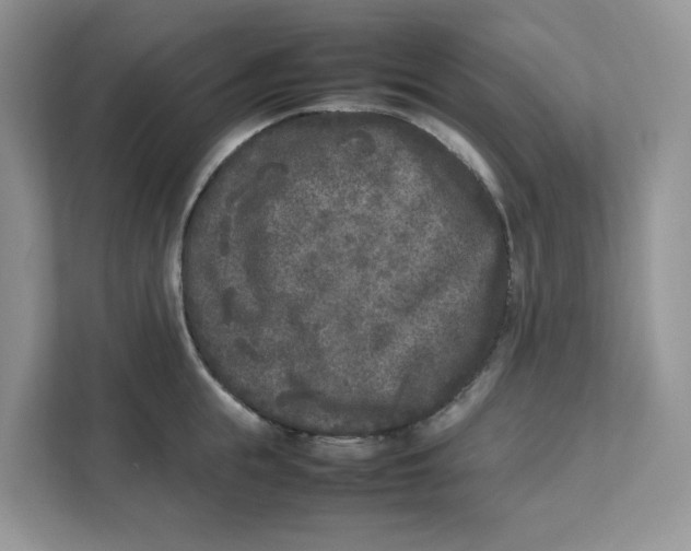 X0000111630855200908071410