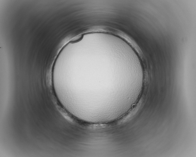 X0000111630858200908071410