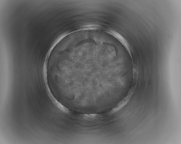 X0000111630859200908071410