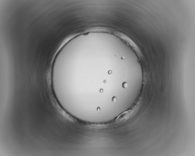 X0000111630860200908071410